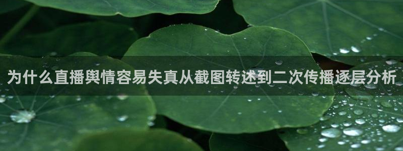 51吃瓜今日热搜