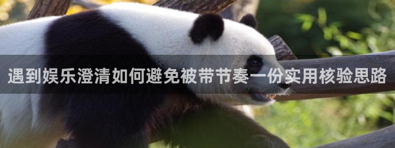 网络热门资讯