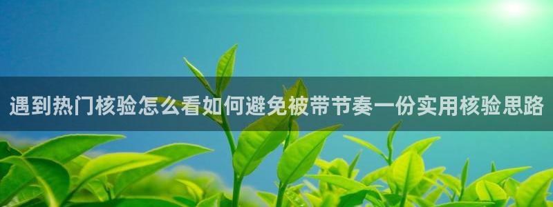 吃瓜网站导航