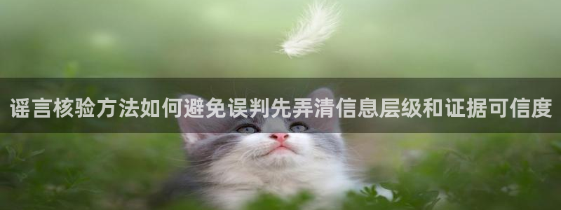 吃瓜网络热点