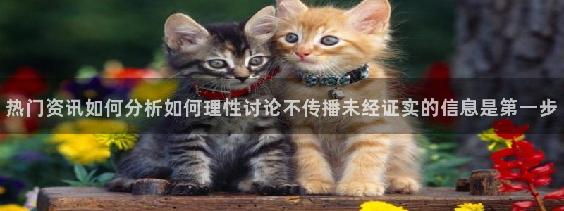 51吃瓜热点话题