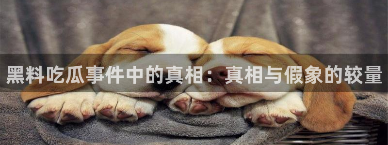 51吃瓜事件大全